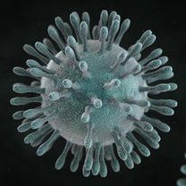 Daily updates about Coronavirus