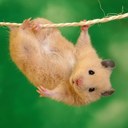 Caro & Bob Emond - @theemonds - Twitter