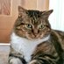 GeriLJ 💙 🏴 😺 (@scheuy12) Twitter profile photo GeriLJ 💙 🏴 😺 (@scheuy12) Twitter profile photo