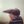 эстетствующий флегмосублиматöр (@Sparoff) profile picture