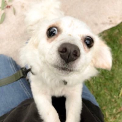moonlanding666's profile picture. i have questions