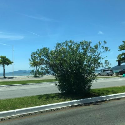 MariaEDureP's profile picture. 