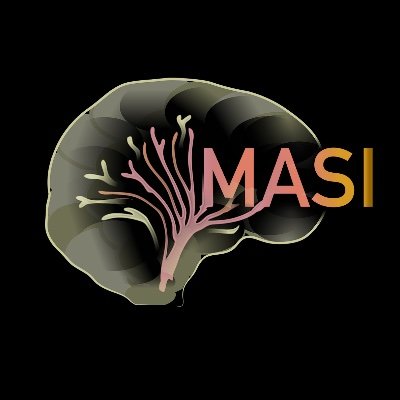 MASI_Lab Profile Picture