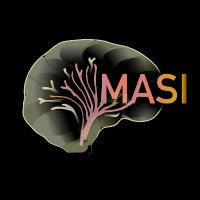 Bennett Landman (Vanderbilt MASI Lab) (@masi_lab) 's Twitter Profile
