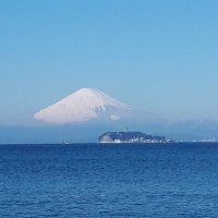 ピサヌローク (@e6ruwk2sej4ldto) 's Twitter Profile
