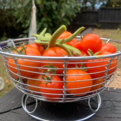 TomatoSauceyYy's profile picture. 