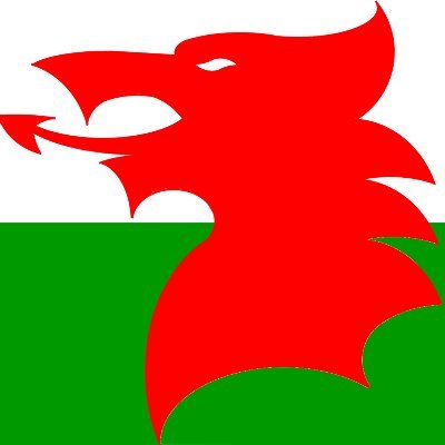 DdraigMath's profile picture. 