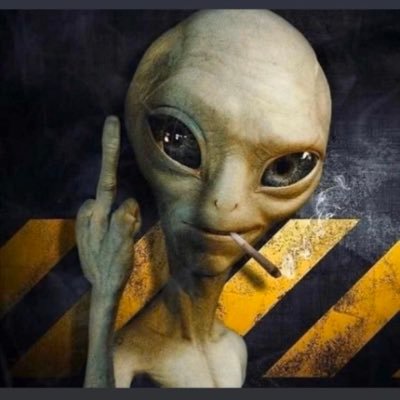 bigdreams447's profile picture. Beng.🎓mechanical engineering                            upcoming fraghead                                                   part time perfume collector