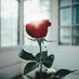 توعيه بثقه وبحب (@saz3u) Twitter profile photo توعيه بثقه وبحب (@saz3u) Twitter profile photo