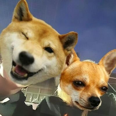 ¿Hay algo mejor que twitter?