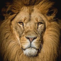 Dre ˢᴾᴿᴱᴬᴰ ᴸᴼᵛᴱ🏀🇧🇸🙏🏾 (@andy05003866) 's Twitter Profile Photo