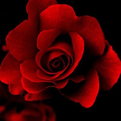 Life is magical always 🦋 Live, Love and Laugh always to enjoy the journey. Most content is not my own, credit goes to the owners.❤🌹⚘🦋