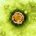 Coronavirus Updates (@CoronaWiki) Twitter profile photo
