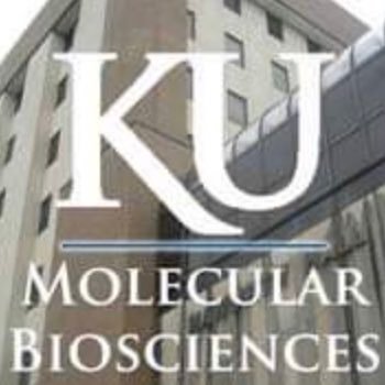University of Kansas Department of Molecular Biosciences official Twitter handle