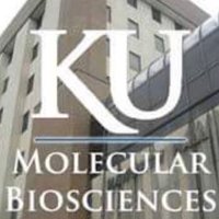 KU Molecular Biosciences (@kumolbio) 's Twitter Profile