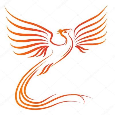 se cómo el ave fénix revive de tus cenizas
Defensora de Derechos Humanos feminista
Líderesa Social-Comunitaria
Líder de Restitucion de Tierras Despo
