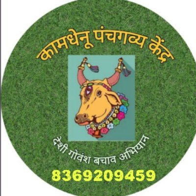 We provide Indian Desi Cows Panchagavya Products and Cow base farming Products.8369209459