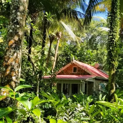 Fond Doux is an Award winning, Eco - friendly resort located on a 250 year old working cocoa plantation in the rain forest 🇱🇨🌴⛰