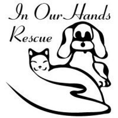 In Our Hands Rescue Iohrescue Twitter