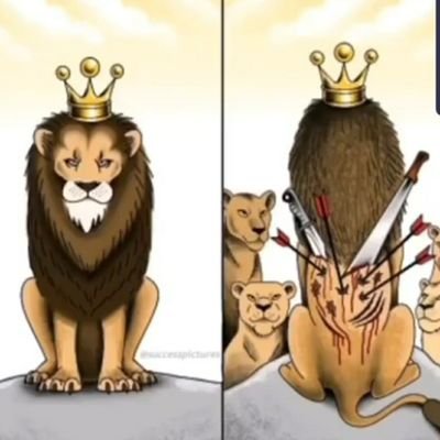 aggelos_malik's profile picture. My successes make me really happy 😍