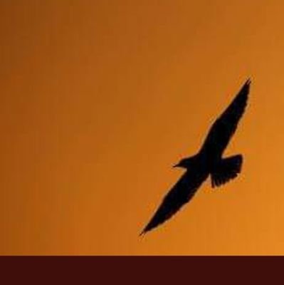 al_300_30's profile picture. ‏‏‏محب للبر ومتذوق لشعر واكتبة احيانآ...