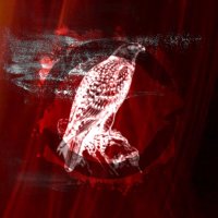 SparrowInSilence (@sparrownsilence) 's Twitter Profile