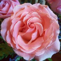 Im4kindness2 (@im4kindness2) 's Twitter Profile