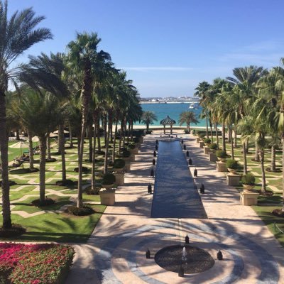 MiodragNovovic's profile picture. dubai