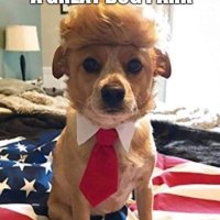 NeverTrumper (@nmbajv) 's Twitter Profile Photo NeverTrumper (@nmbajv) 's Twitter Profile Photo