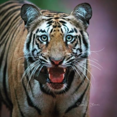 dead0fwrite's profile picture. 