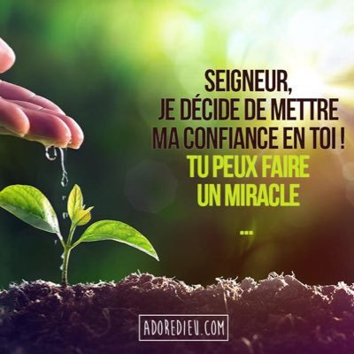 EspaceGabon's profile picture. Entreprise gabonaise de création et d’entretien d’espaces verts. Tel: +241 66263826. espace7propre@gmail.com