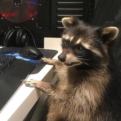 ◙ I'm a Raccoon. I take screenshots of said Raccoon on XIV.
    ◙ I commission artwork of my OCs. 
       ◙ Please do not RP as/with my characters! 
⁃DMs open.