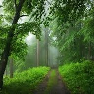 C_Carrero's profile picture. Ingeniero Aeronáutico por la Universidad Politécnica de Madrid, actualmente trabajando en Boston Consulting Group