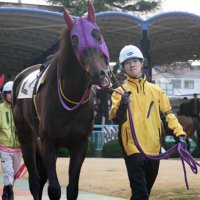 まるとん (@malutaro) 's Twitter Profile Photo まるとん (@malutaro) 's Twitter Profile Photo