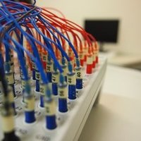 UZH Neuropsychology and Cognitive Neuroscience (@uzh_neuropsy) 's Twitter Profile Photo UZH Neuropsychology and Cognitive Neuroscience (@uzh_neuropsy) 's Twitter Profile Photo