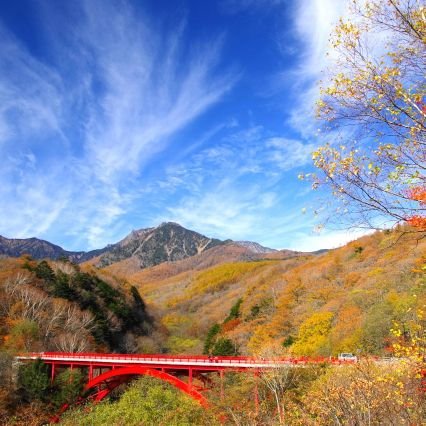 🗻富士山 山岳 花等の撮影と登山が趣味. ⚠️All rights reserved.  🈲営業,投資,副業🆖. https://t.co/od3De1K4Iq . https://t.co/jXro25fseL