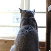 はぎ@ (@hagi_camera) 's Twitter Profile