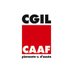 CAAF CGIL (@CAAFCGIL1) Twitter profile photo