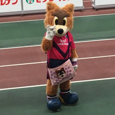 セレサポ歴94〜サッカーとその周辺の気になる事を保存するための垢。