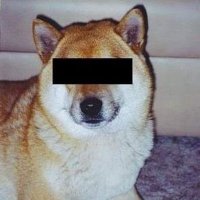 🤖ticef(black kray fan account)🗿 (@weightoven) 's Twitter Profile