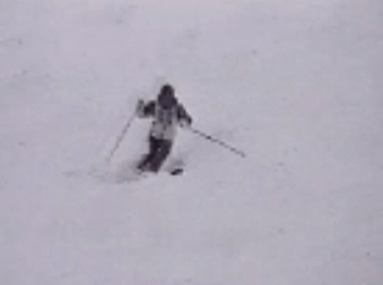 heart_pot's profile picture. 