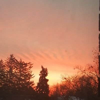 Christo01036260's profile picture. 