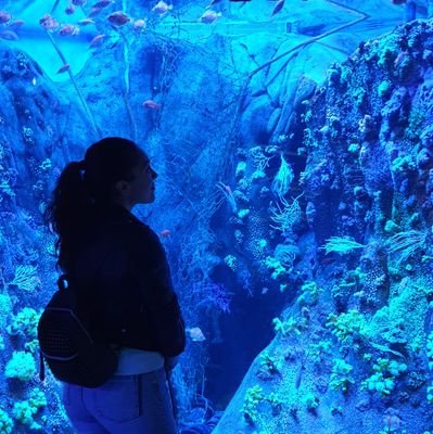 Sirc1987's profile picture. En eterna construcción desde 1987..