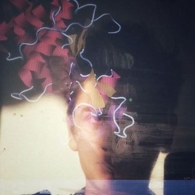 aucelloriccardo's profile picture. PhD student in Complex Systems for Quantitative Biomedicines, University of Turin - Concerned in Complex Systems. Charmed by Evolution.