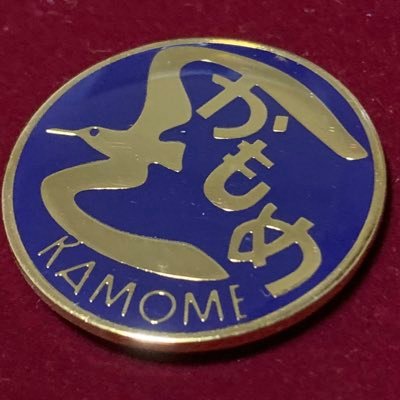 かもめ先生 (@sorairo_kamome) / X