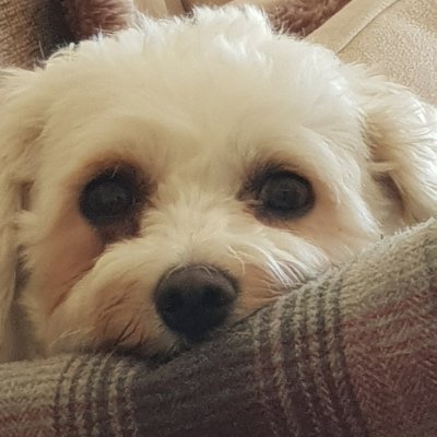 Livin_in_boxes's profile picture. 