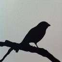 Catherine Cornwell - @kombigal - Twitter