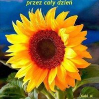 Krystyna (@krystyn68648074) 's Twitter Profile Photo