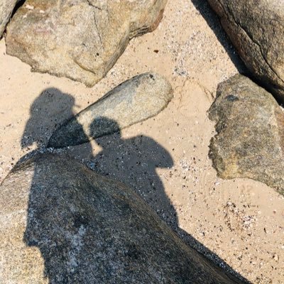 HR Professional | Dancing | Travelling | Foodie