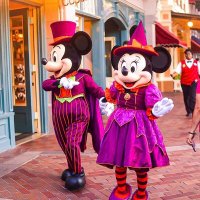 JK Disney 研究会〔Scoolgirls Disney laboratory) (@0wojofkrgghvorw) 's Twitter Profile